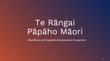 Te Rāngai Pāpāho Māori - Workforce and Capability Development Proposition.png